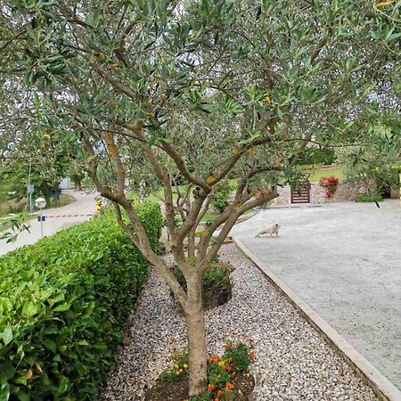 Soba Gracijela Hotel Motovun Kültér fotó
